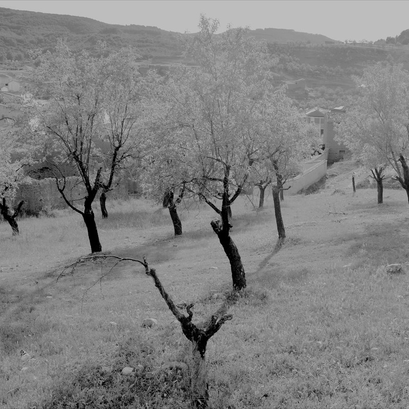 Choir, photography by Cangrande