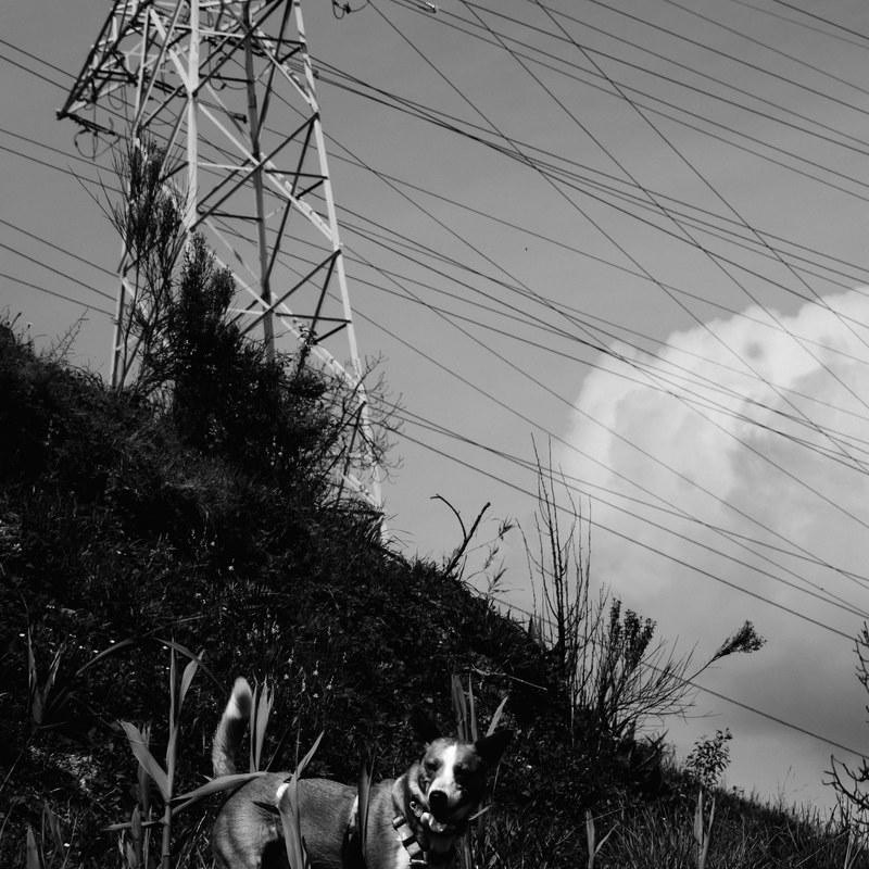 Outskirts, photography by Cangrande
